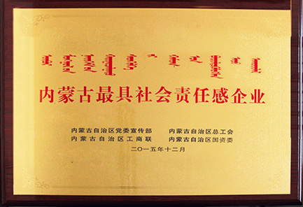 內蒙古最具社會責任感企業